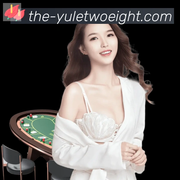 战术分析频道